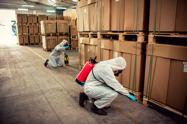 Best Emergency Pest Control  in Menomonee Falls, WI