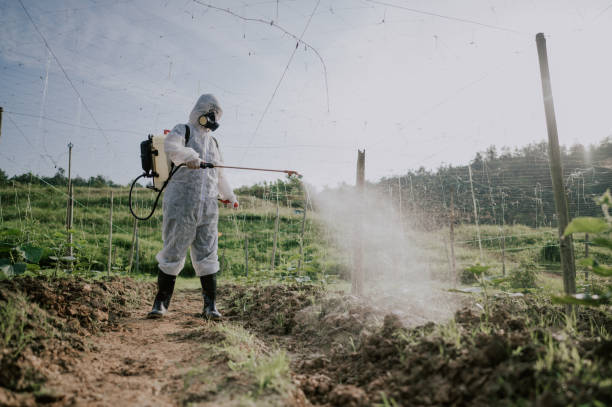 Pest Control Cost in Menomonee Falls, WI