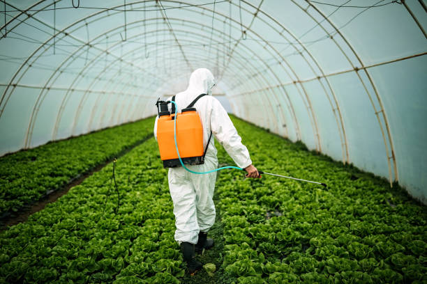 Best Insect Control  in Menomonee Falls, WI
