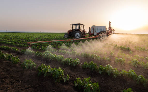 Best Mosquito Control Services  in Menomonee Falls, WI