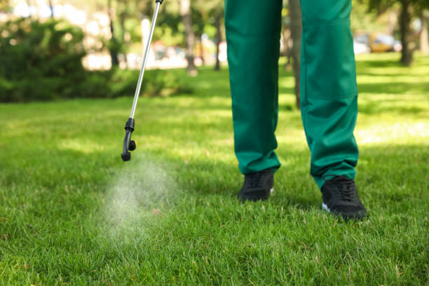 Best Best Pest Control Companies  in Menomonee Falls, WI