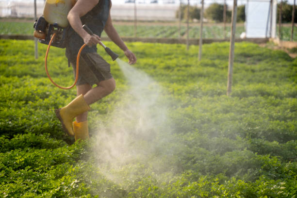 Best Insect Control  in Menomonee Falls, WI