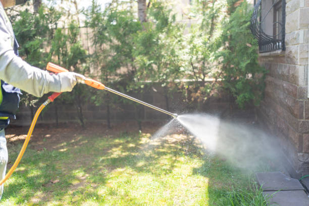 Professional Pest Control in Menomonee Falls, WI