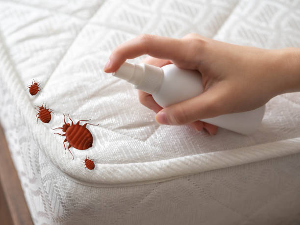 Best Commercial Pest Control Services  in Menomonee Falls, WI