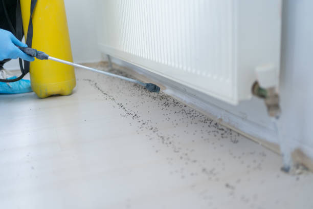 Best Cockroach Control Services  in Menomonee Falls, WI