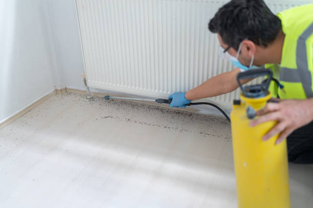 Best Pest Control Near Me  in Menomonee Falls, WI