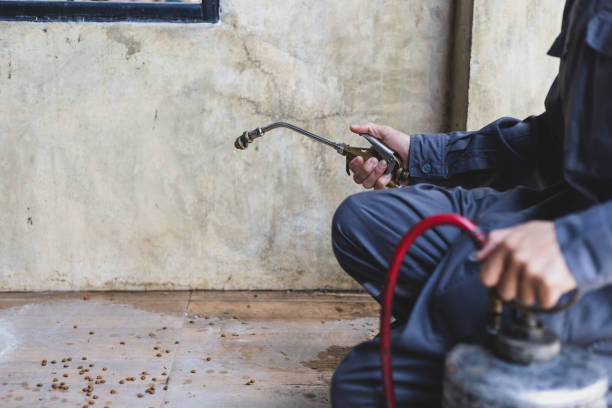 Best Flea Control Services  in Menomonee Falls, WI
